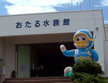 おたる水族館