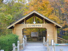 ニングルテラス