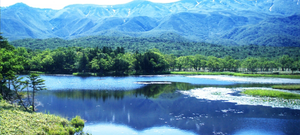 思い出の道東プレミアム 釧路 網走 阿寒 摩周