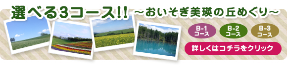 選べる美瑛3コース