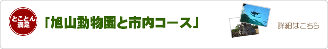 旭山動物園と旭川市内