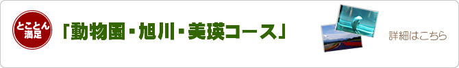 動物園・旭川市内・美瑛