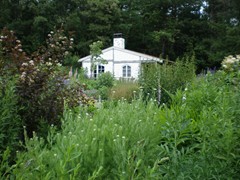 ブリティッシュガーデン