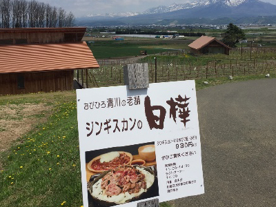 ジンギスカン白樺