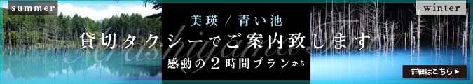 美瑛青い池 貸切タクシー感動2時間プラン