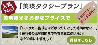 美瑛タクシープラン