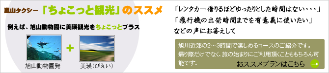 画像：旭川嵐山個人タクシーの美瑛観光と旭山動物園観光の紹介