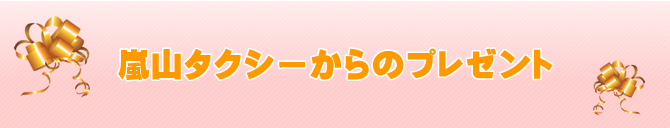 嵐山個人タクシー 「車種別料金一覧表」 旭川方面観光後、札幌にお泊りの方、又は新千歳空港へ向かう方にお勧めコースのご案内