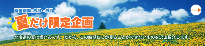 画像：旭川嵐山個人タクシーの「夏だけ観光企画」