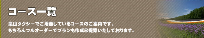 嵐山個人タクシー 「車種別料金一覧表」 旭川方面観光後、札幌にお泊りの方、又は新千歳空港へ向かう方にお勧めコースのご案内