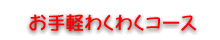 お手軽コース