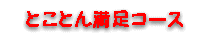 とことん満足コース