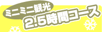 ミニミニ観光 2.5時間コース