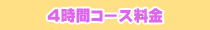 5時間コース料金